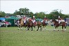 UKPA NC SAT_2704